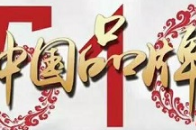 2018年5月10日，由中国质量万里行促进会、中国发展网等机构联合主办的“第二届中国品牌创新大会暨2018中国品牌500强发布会”在北京隆重举行。国内政要、专家...