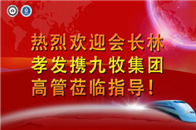 艳阳高照，7月11日至12日，中国建材市场协会卫浴分会会长林孝发先生、中国建材市场协会卫浴分会刘文贵秘书长、九牧集团执行总裁林友色、高级副总裁刘启乔、副总裁廖荣...