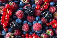夏季是水果与活力的季节，热情的莓果给夏天更丰富的味蕾体验。今天就一起跟随舒纳沃恩的色彩灵感，让这些酸甜的莓果，带给你不一样的家居色彩灵感与体验吧。莓果家居潮流色...