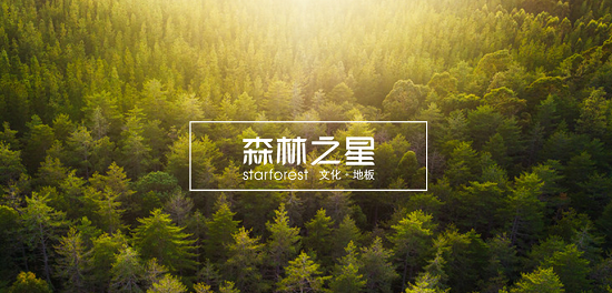 2007年有一个在国外发展多年的地板品牌进入了中国市场，以”艺术化、自然化、人文化“为研发宗旨纲要，提出行业独有的概念——文化地板，这就是森林之星。在今年引起关...