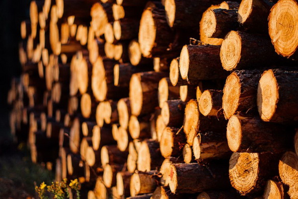 央视财经日前报道《木材涨价家具厂被迫关门》，再次引起红木业界的关注和热议。然而实际上，受全球疫情影响，多国运输受限，红木原材涨价、家具产品涨价的有关消息，从去年...