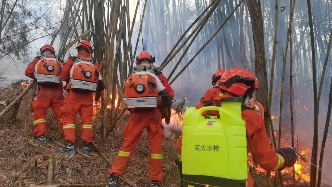 近日，重庆由于连续的干旱高温天气引发山火爆发，着火点涉及全市数个区的几十处山林，灾情、疫情叠加，形势异常严峻复杂……山火无情人间有情，四川菲玛贸易公司作为一家有...