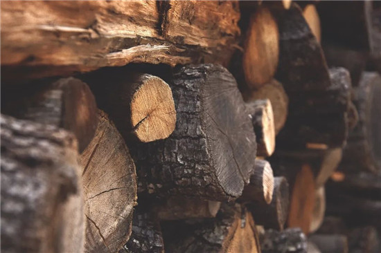番龙眼木材  被业内称为地板界的 “性价比之王”