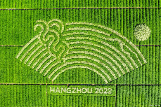 杭州第19届亚运会（The 19th Asian Games）又称“2022年杭州亚运会”，是继1990年北京亚运会、2010年广州亚运会之后，中国第三次举办亚...