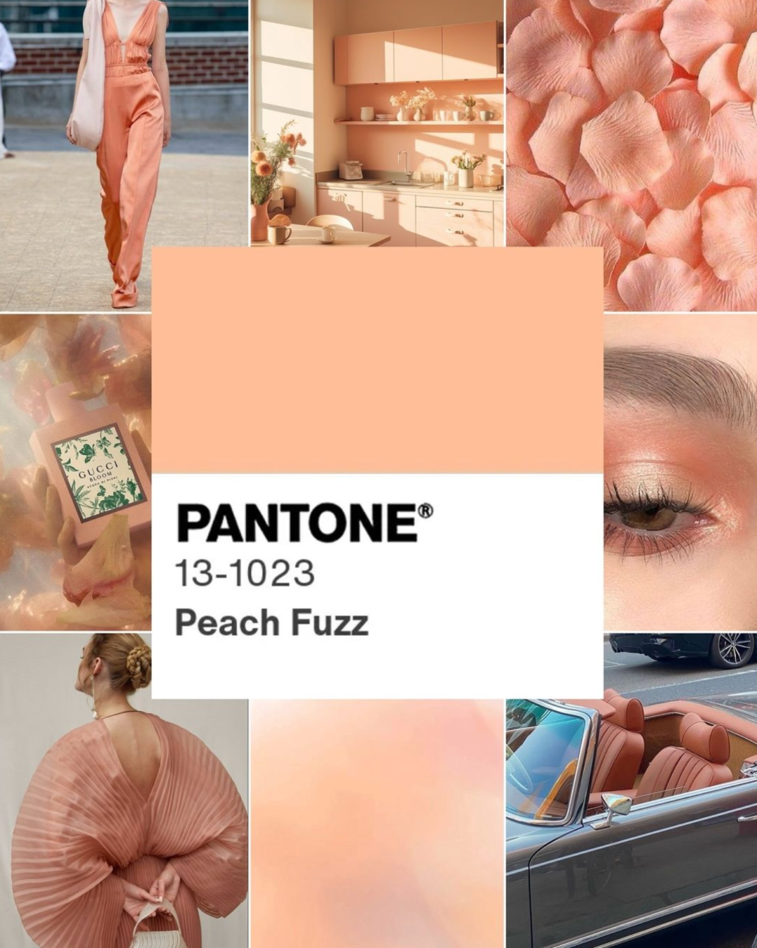 2024年主打什么颜色？12月7日，全球权威色彩机构潘通（PANTONE）色彩研究所揭晓2024年度流行色——柔和桃（Peach Fuzz）。