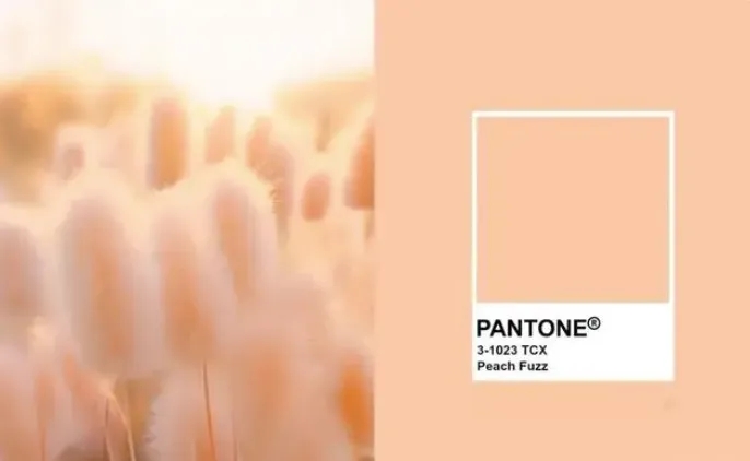 国际色彩权威机构潘通（PANTONE）发布的2024年度流行色——“柔和桃”（Peach Fuzz），这一色彩如同初熟的桃子般温柔甜美
