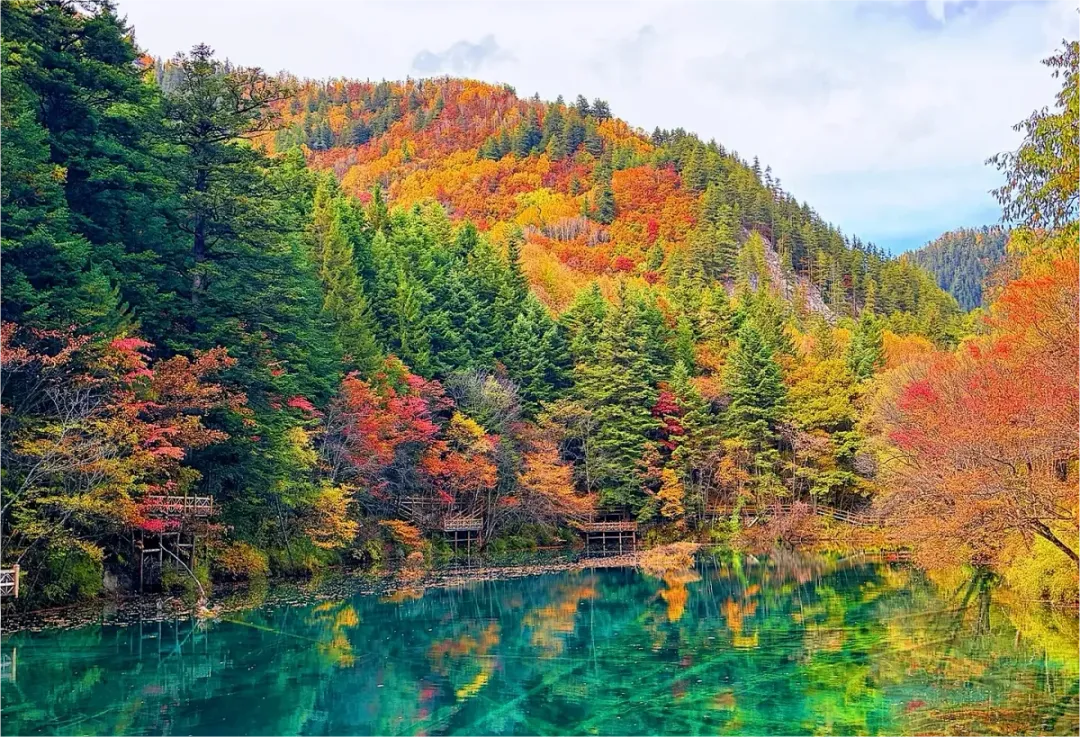 久居繁华闹市的人，本就向往山林的淳朴本真，更何况秋日的山野。