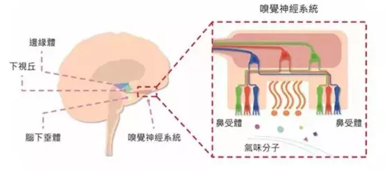 微信图片_20190813110259.png