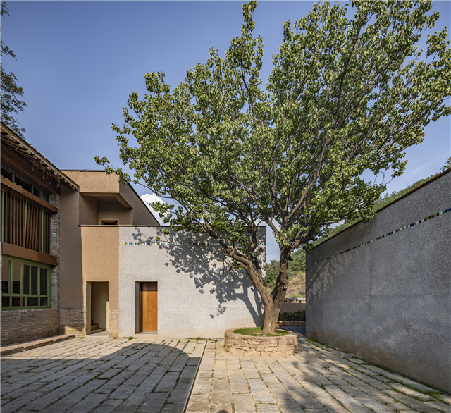 07场地中的树被保留，成为庭院景观中的重要元素 Original tree on site preserved as important landscape element in courtyard.jpg